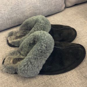 🖤 UGG Slippers 🖤